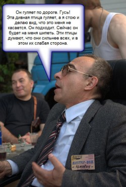 ножи