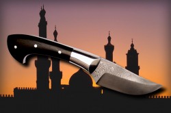 http://knives.com.ua/pic/0120/09/05p.jpg